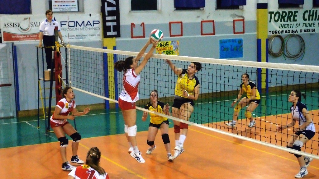 Budassi a muro su Elisei