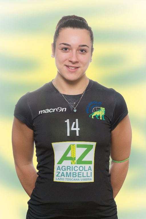 Pallavolo AZ Zambelli Orvieto, stagione 2016-17