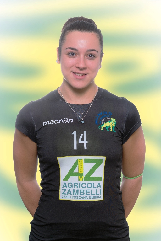Pallavolo AZ Zambelli Orvieto, stagione 2016-17
