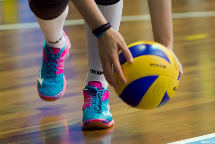 Pallavolo (news) Si torna al lavoro in casa Trevi Volley