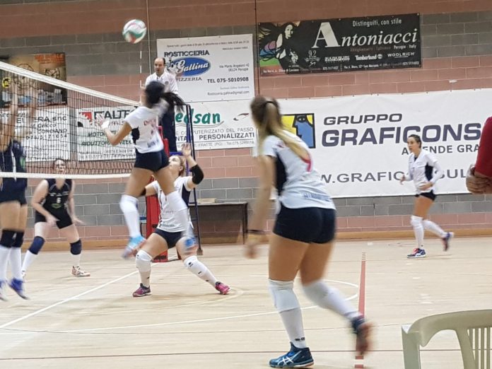 San Mariano Volley ripescata in C. La società presieduta da Catia Loletto, dopo la promozione sfiorata nella scorsa stagione, parteciperà al massimo campionato regionale. E sarà un roster dall’età media molto bassa