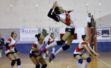 Pallavolo Perugia: anche il settore giovanile a gonfie vele Pallavolo Perugia: anche il settore giovanile a gonfie vele. Le formazioni di Serie D stazionano nelle parti alte della classifica, bene anche l’Under 18, 16 e 14