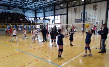 Il circuito minivolley del CSI ha fatto tappa ad Ellera Il circuito minivolley del CSI ha fatto tappa ad Ellera