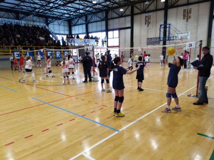 Ellera - circuito minivolley CSI Il circuito minivolley del CSI ha fatto tappa ad Ellera