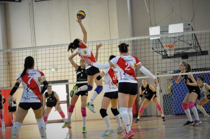 3M Perugia (5)