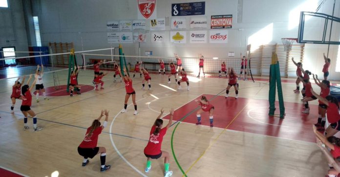 pallavolo Perugia settore giovanile