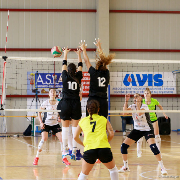 Volley