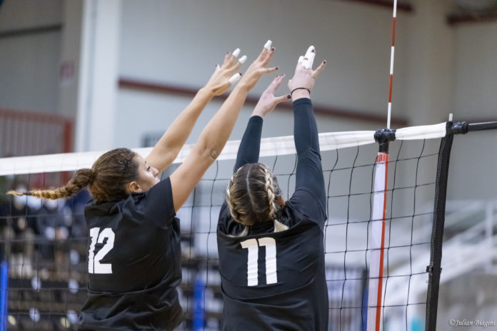 Volley