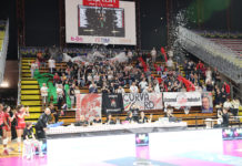 La belga classe '95 rinforza il reparto centrali: "Non vedo l'ora di scoprire la passione italiana per il volley"
